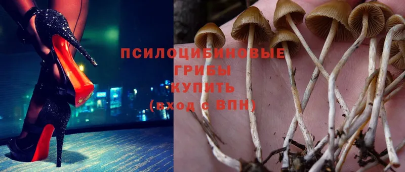 Псилоцибиновые грибы Magic Shrooms  наркота  Артёмовск 